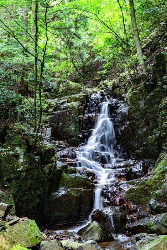 日本の水源地は、今どうなっているのか